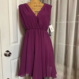 Elegant Purple Dress v neck